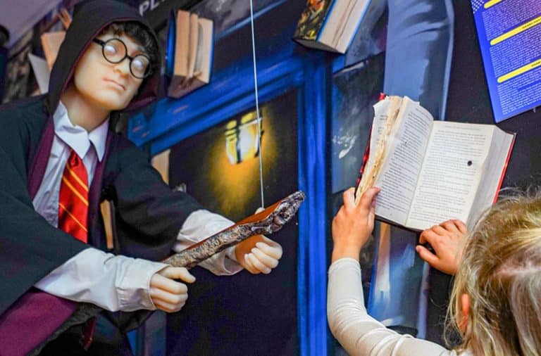 WhatsApp Image 2026-02-07 at 11.03.12 (1)